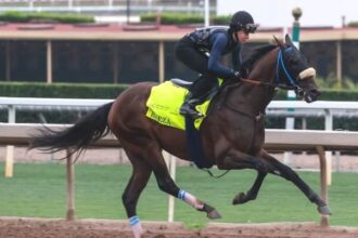 Pennsylvania Derby, Cotyrion Stakes bring out a classy field