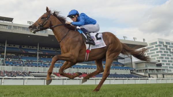 Prominent speech wins the Woodbine Mile to lead the Breeders' Cup Qualifier Trio