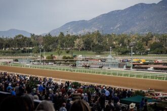 Proof: The key path to success in the Santa Anita Leaders Cup