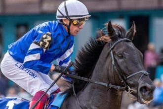 Rebel's romance is above HRN's Daily Top 10