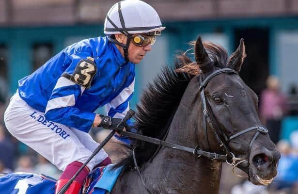 Rebel's romance is above HRN's Daily Top 10