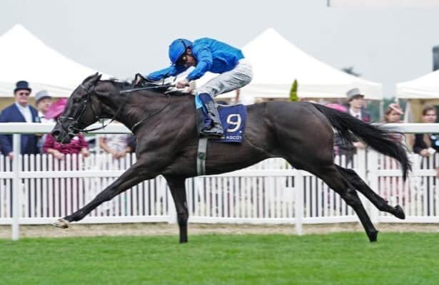 Rebel's romance returns to America for Joe Hirsch Turf Classic