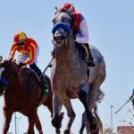Rookie Ranking: Top 5 2-year-olds from Del Mar's Summer Tournament