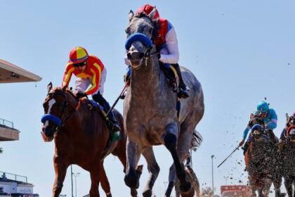 Rookie Ranking: Top 5 2-year-olds from Del Mar's Summer Tournament