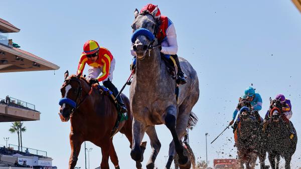 Rookie Ranking: Top 5 2-year-olds from Del Mar's Summer Tournament