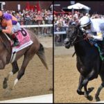 Rookie Rankings: 2-year-old 5-year-old prospects to watch from Saratoga's summer tournament