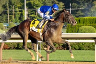 Sovereignty remains at the top of the new Breeders' Cup power rankings