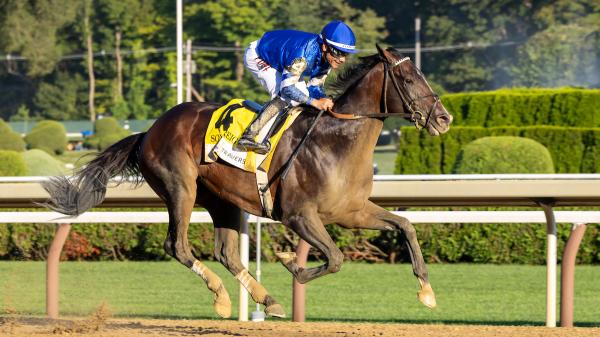 Sovereignty remains at the top of the new Breeders' Cup power rankings