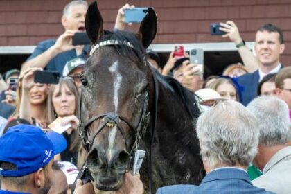 Sovereignty stands strong above the Breeders' Cup classic power rankings