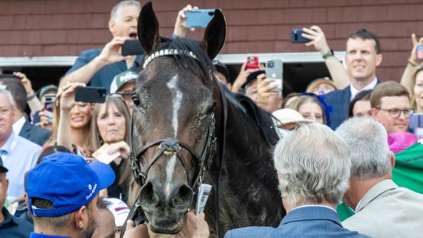 Sovereignty stands strong above the Breeders' Cup classic power rankings