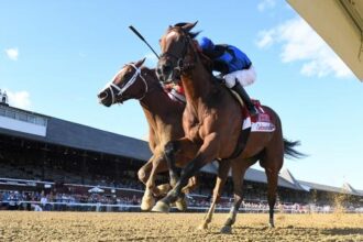 Speeding up the 2025 Woodward Stakes strategy