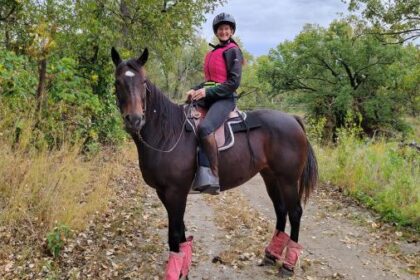 Success Story of Thoroughbred Aftercare Alliance: "Beauty with Clues," the Story of Two Thoroughbreds