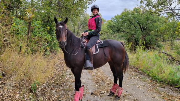 Success Story of Thoroughbred Aftercare Alliance: "Beauty with Clues," the Story of Two Thoroughbreds
