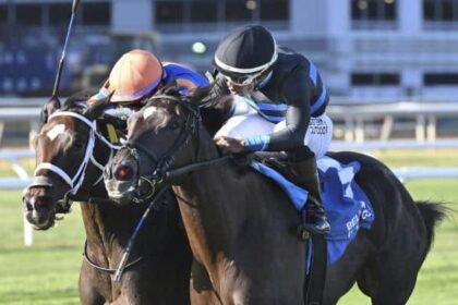 Sweetest taste in winter memories when you're ready for candy