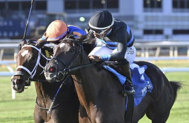 Sweetest taste in winter memories when you're ready for candy