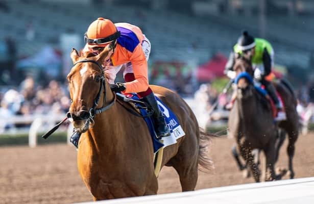 The 8th Grade Winner is on the tab