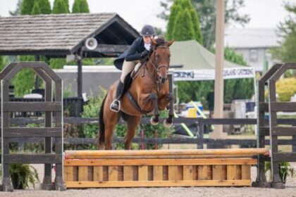 Thoroughbred Transformation Diary: Despite the ups and downs, anything is possible