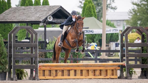 Thoroughbred Transformation Diary: Despite the ups and downs, anything is possible