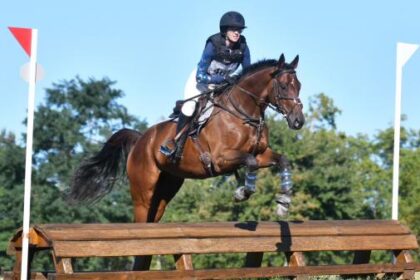 Thoroughbred Transformation Diary: Maverick is an excellent trainer who overcomes adversity