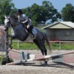 Thoroughbred Transformation Diary: October Plans for the Gray Magician and the Dignified Ruler