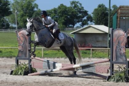 Thoroughbred Transformation Diary: October Plans for the Gray Magician and the Dignified Ruler