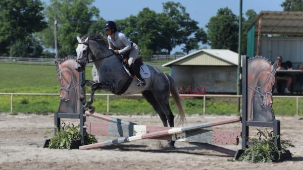 Thoroughbred Transformation Diary: October Plans for the Gray Magician and the Dignified Ruler