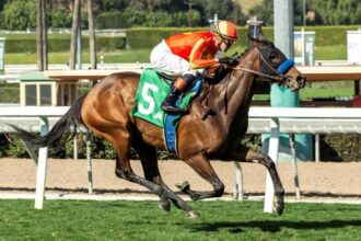 Three Values ​​of Andrew Champagne will take place on Saturday at Santa Anita