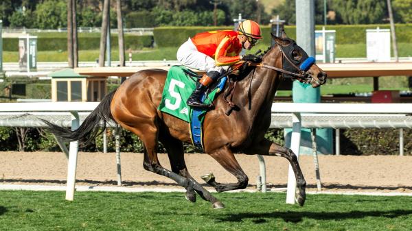 Three Values ​​of Andrew Champagne will take place on Saturday at Santa Anita