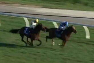 Tom's magic speeds up the slow pace and wins with his head in the Breeders' Stakes