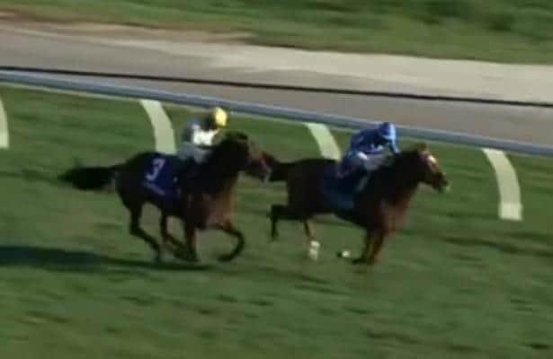 Tom's magic speeds up the slow pace and wins with his head in the Breeders' Stakes