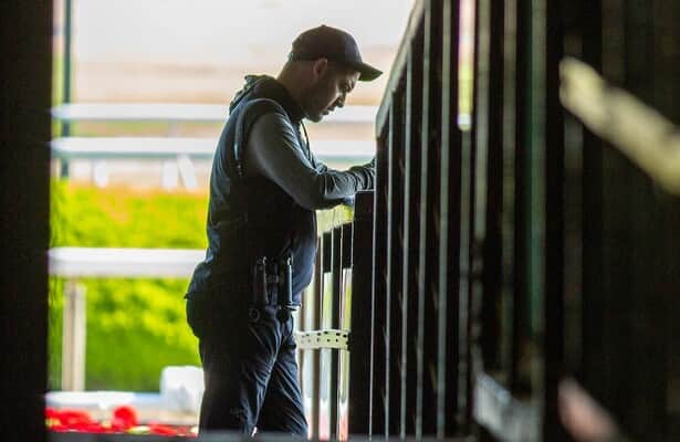 Trainer Ray Handal is hung for dexamethasone for 22 days
