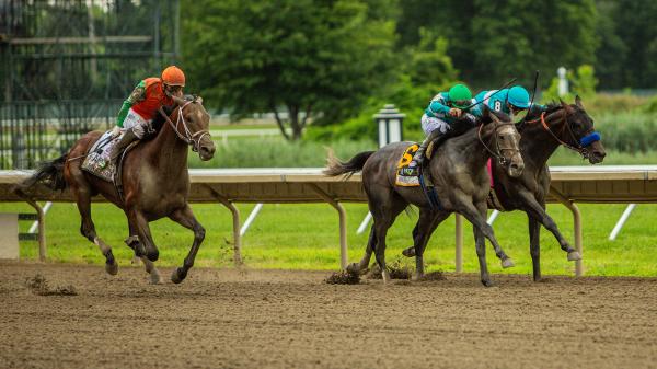 Trifecta from ABR for the 2025 Pennsylvania Derby picks