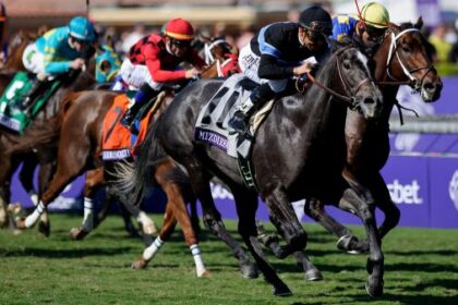 Two Queen of the Hill: Miz Direction makes Breeders' Cup hay at Santa Anita