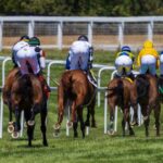 View/listen location: Horse racing coverage September 4th-7th