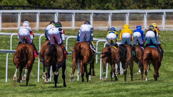 View/listen location: Horse racing coverage September 4th-7th