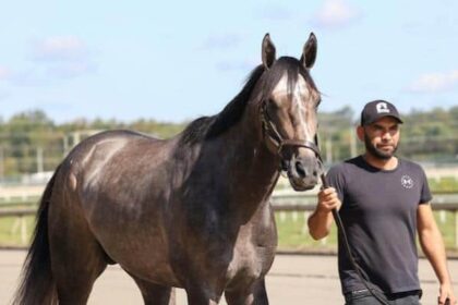 Walsh brings bigger and stronger Gosgars to the Pennsylvania Derby