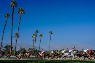 Where to watch: Where to listen: Horse racing news September 25th-28th