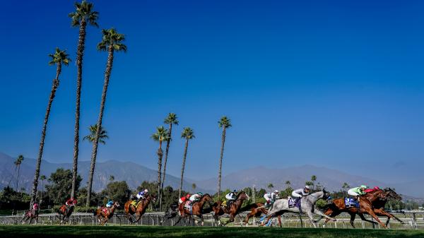 Where to watch: Where to listen: Horse racing news September 25th-28th