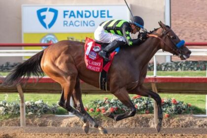 10 important handicap questions you must answer heading into the 2025 Breeders' Cup