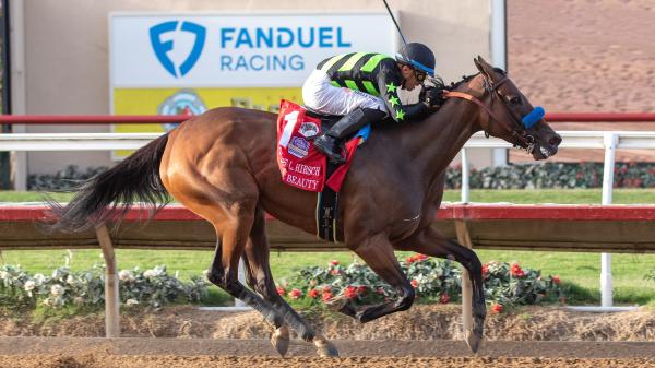 10 important handicap questions you must answer heading into the 2025 Breeders' Cup
