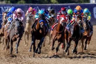 10 important historical trends to know before betting on the 2025 Breeders' Cup Classic
