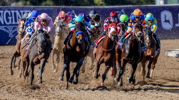 10 important historical trends to know before betting on the 2025 Breeders' Cup Classic