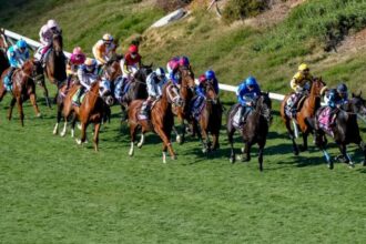 10 interesting facts about the 2023 Breeders' Cup World Championship