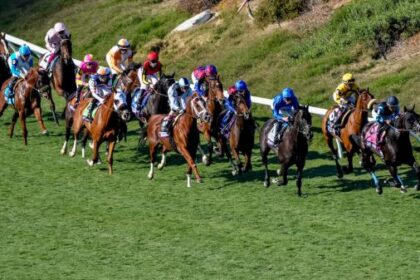 10 interesting facts about the 2023 Breeders' Cup World Championship