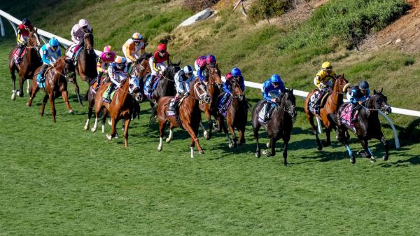 10 interesting facts about the 2023 Breeders' Cup World Championship