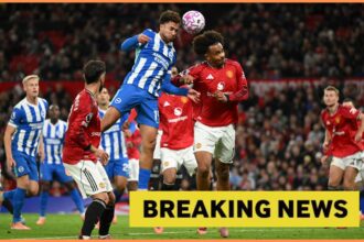 Joshua Zirkzee in action for Man Utd vs Brighton, and yellow