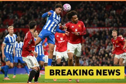 Joshua Zirkzee in action for Man Utd vs Brighton, and yellow