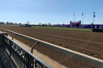 2-year-old mare Gottarotta Tempo euthanized