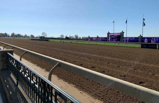 2-year-old mare Gottarotta Tempo euthanized