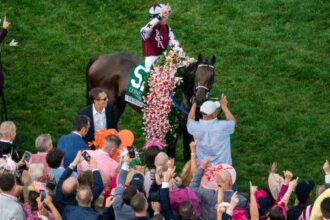 2024 Horse of the Year Torpedo Anna officially retires from horse racing